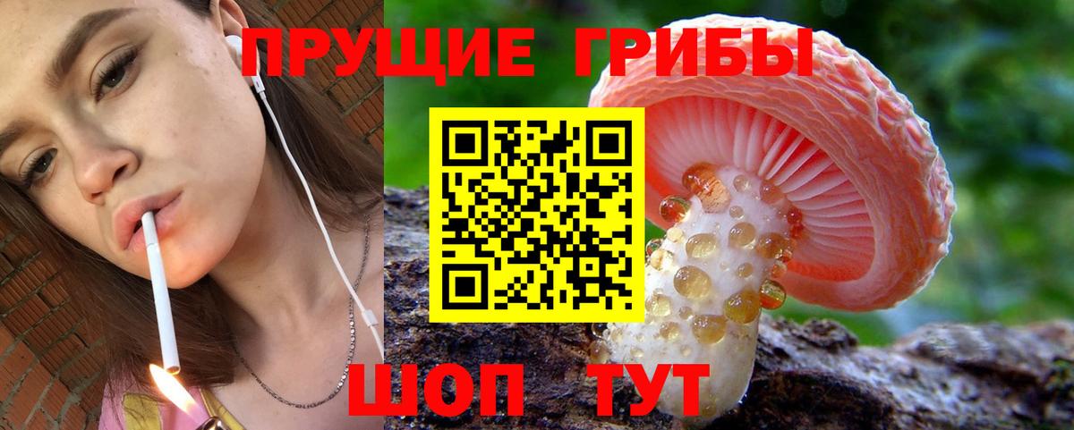 Димитровград  Псилоцибиновые грибы Psilocybine cubensis  наркота  Вход с VPN 